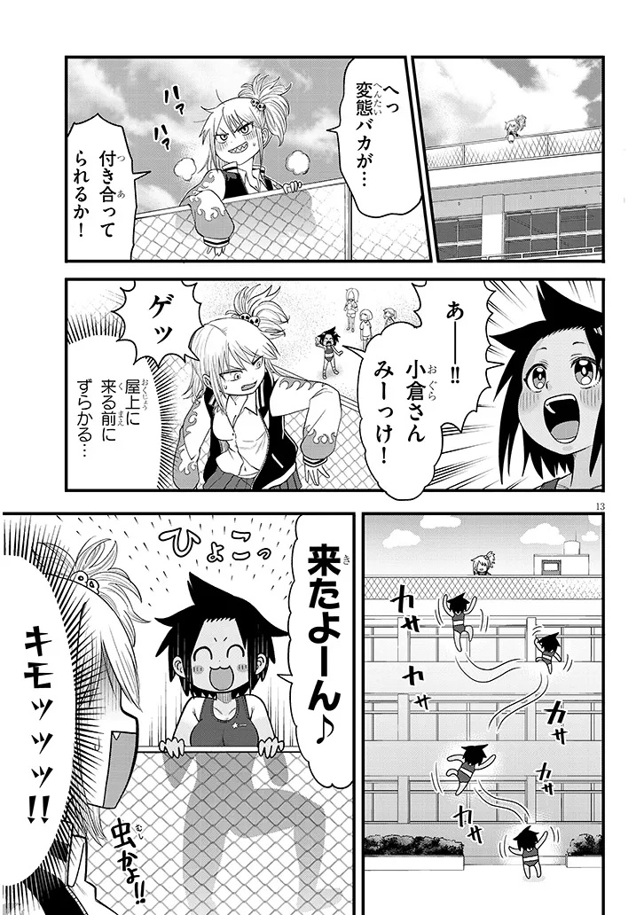 Page 13