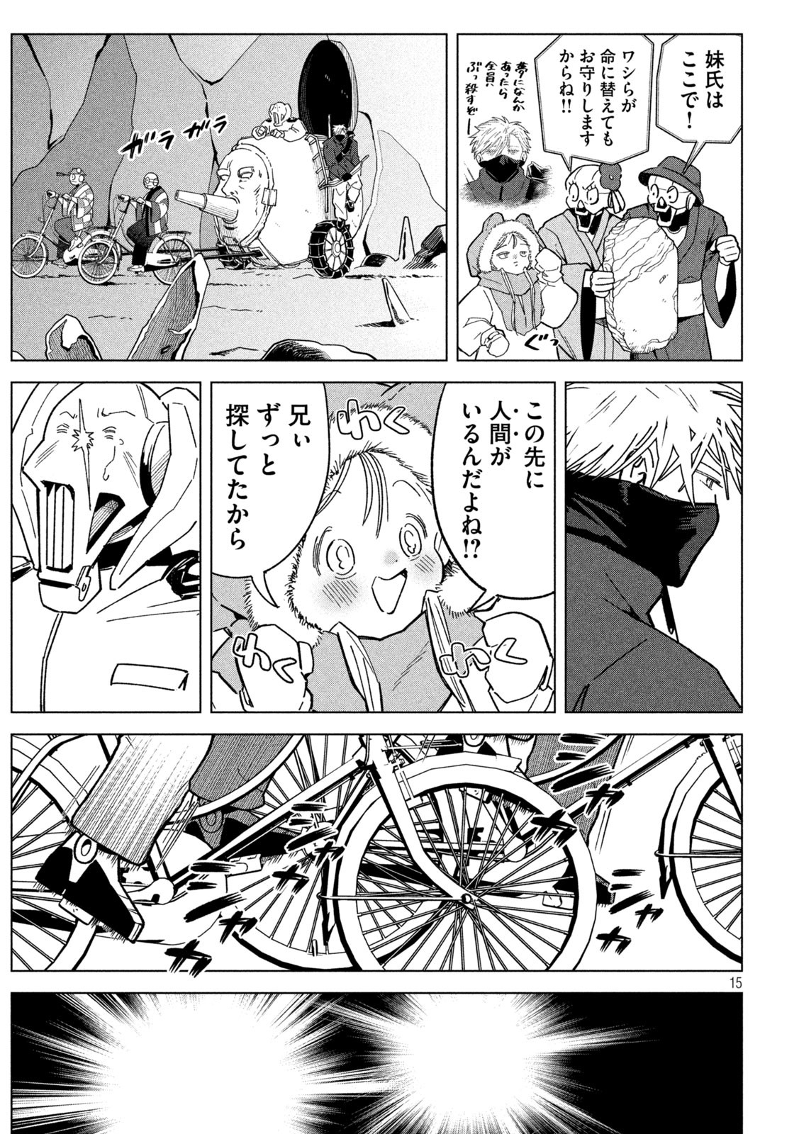 Page 15