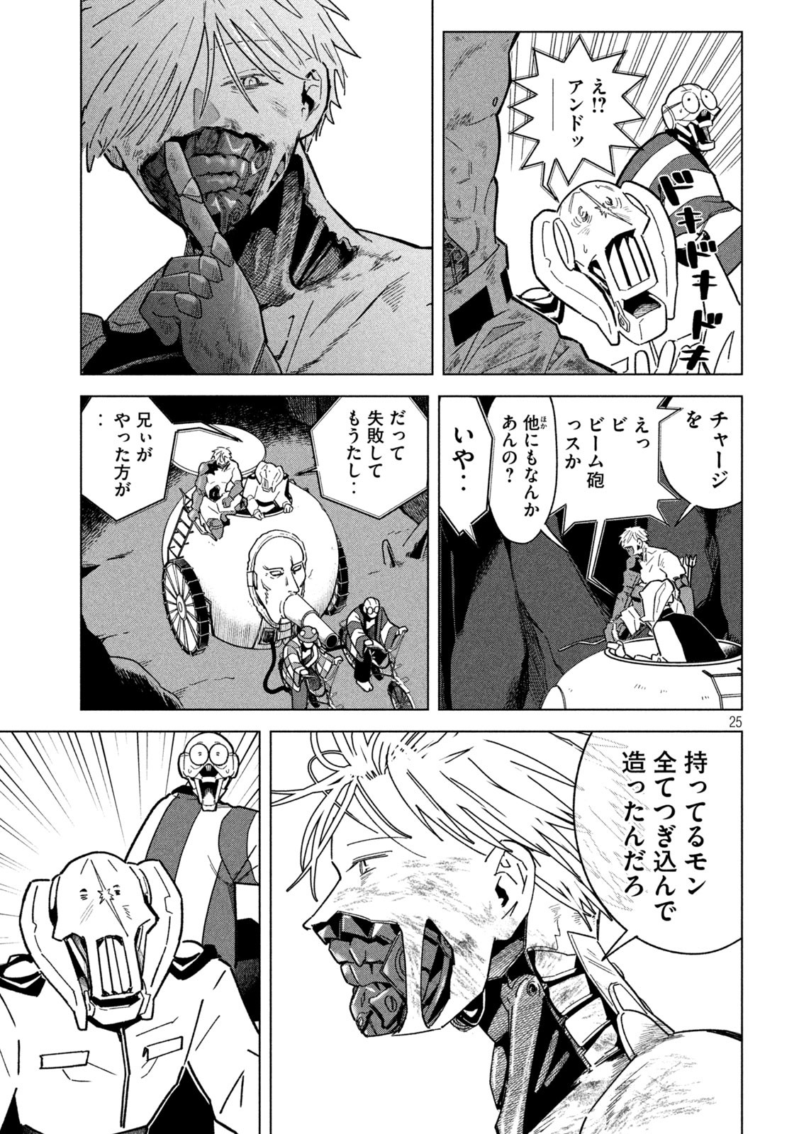 Page 25