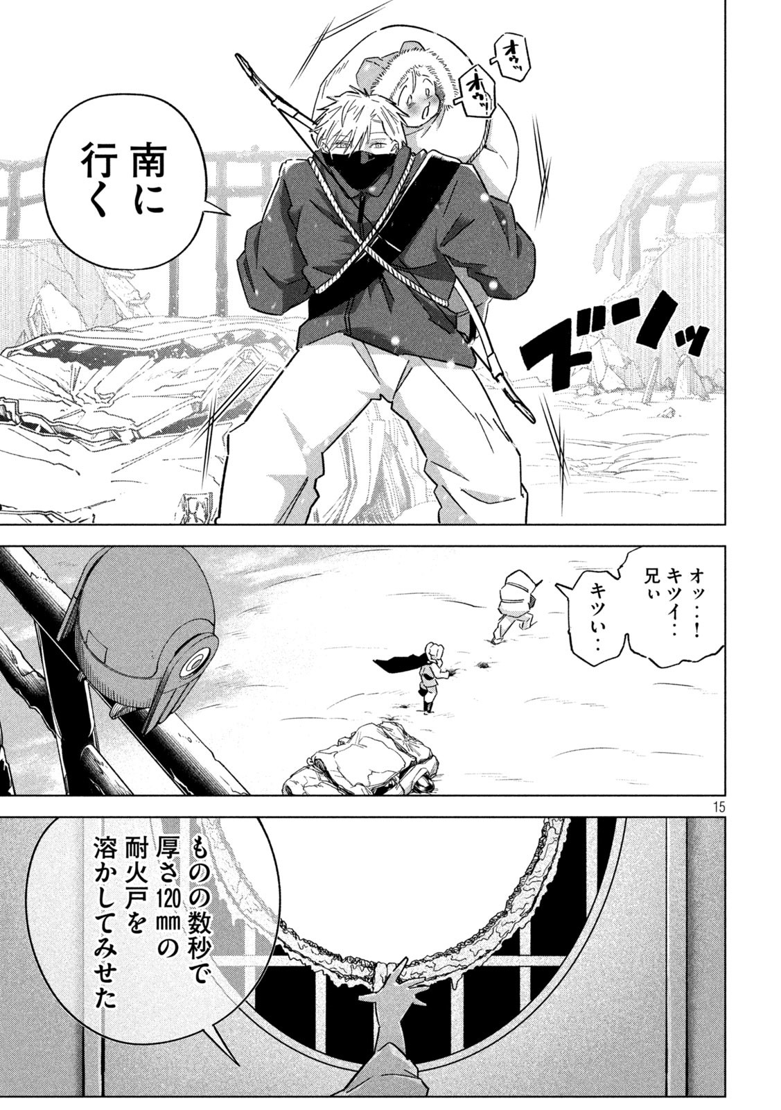 Page 15
