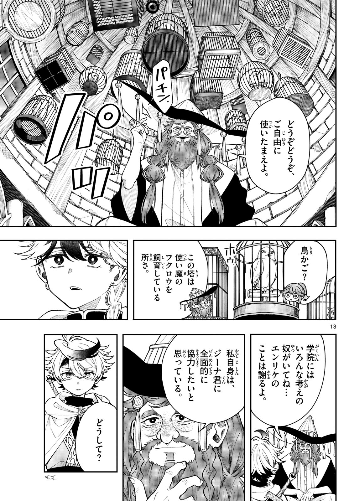 Page 13
