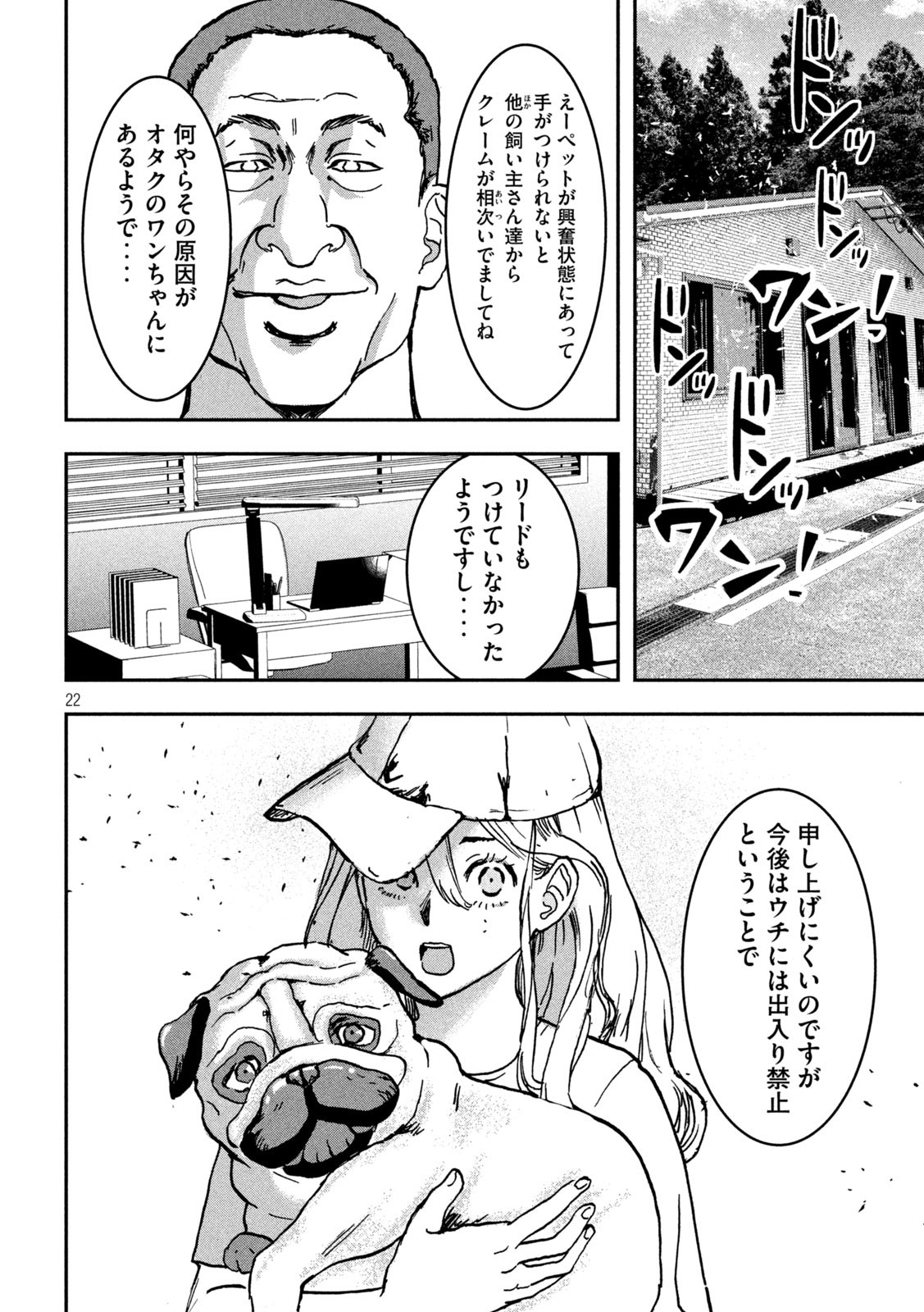 Page 22