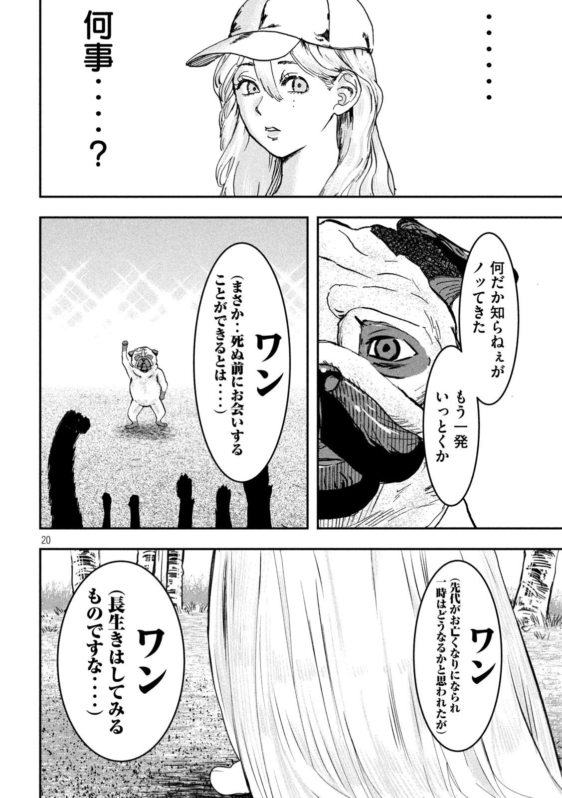 Page 20