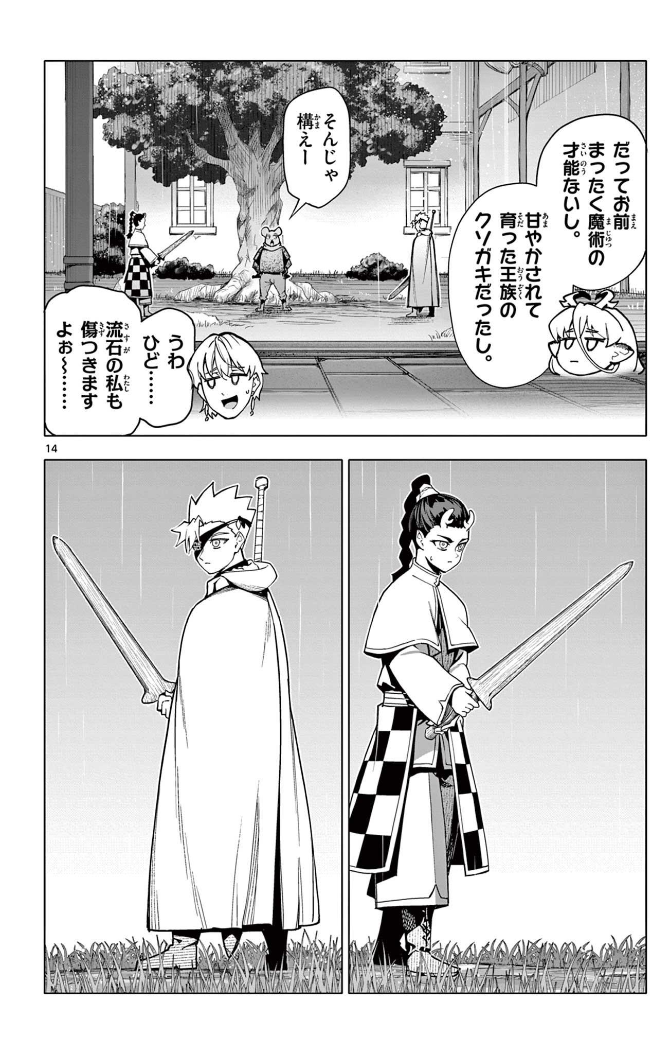 Page 14