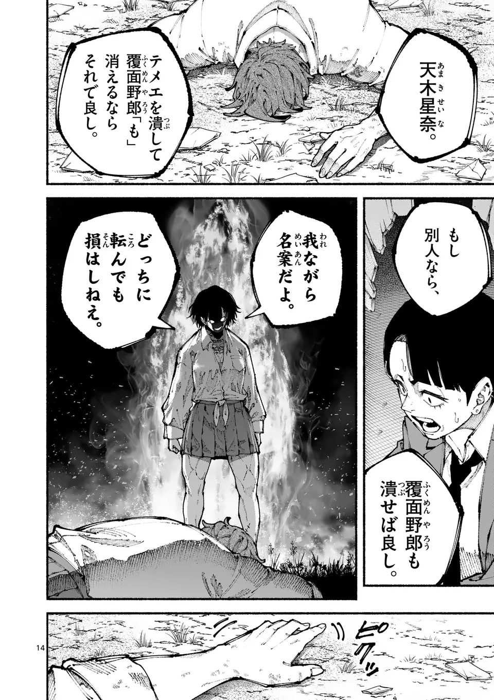 Page 14