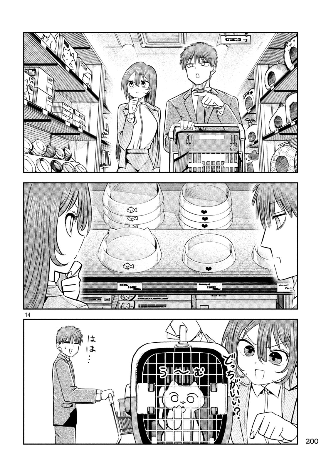 Page 14