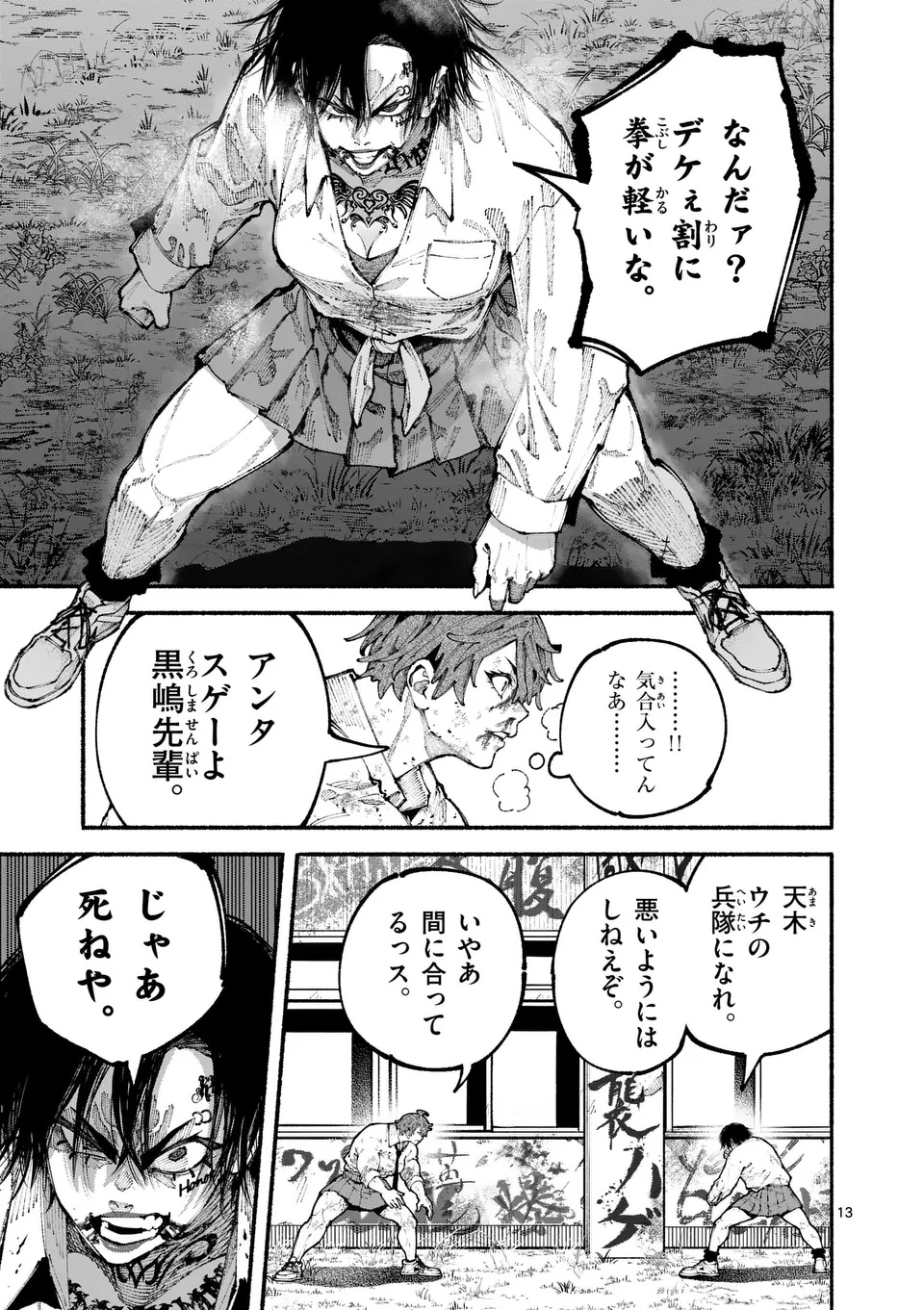 Page 13