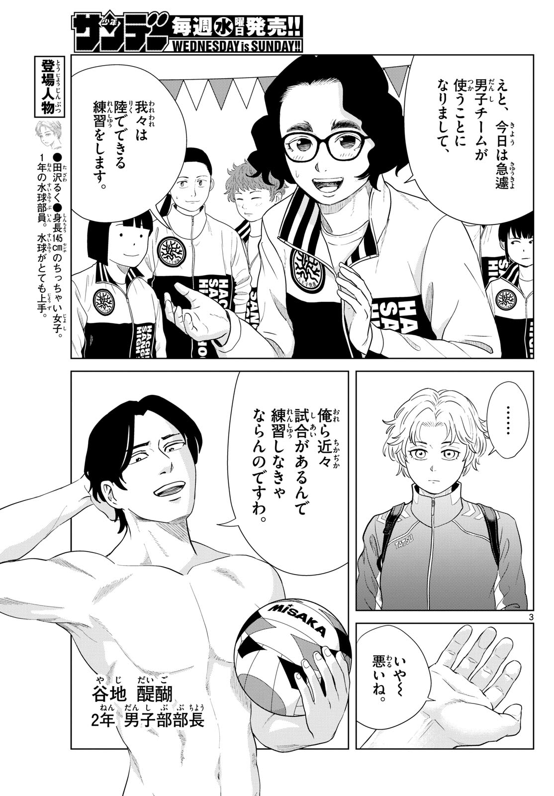 Page 3