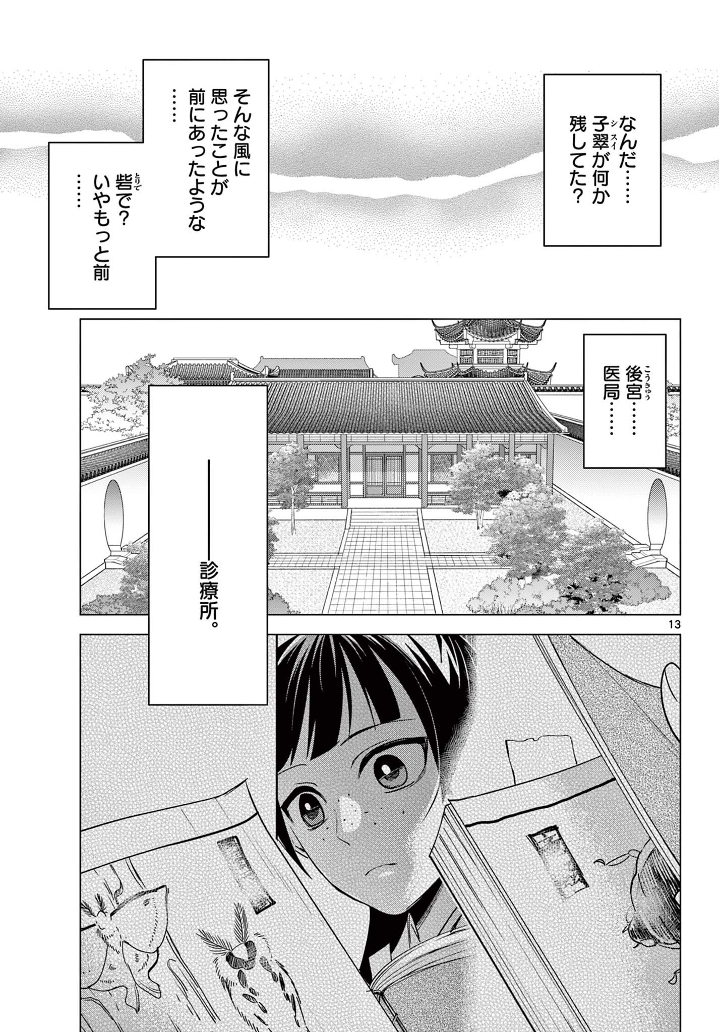 Page 13
