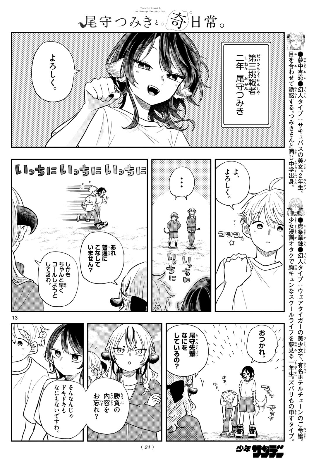 Page 13