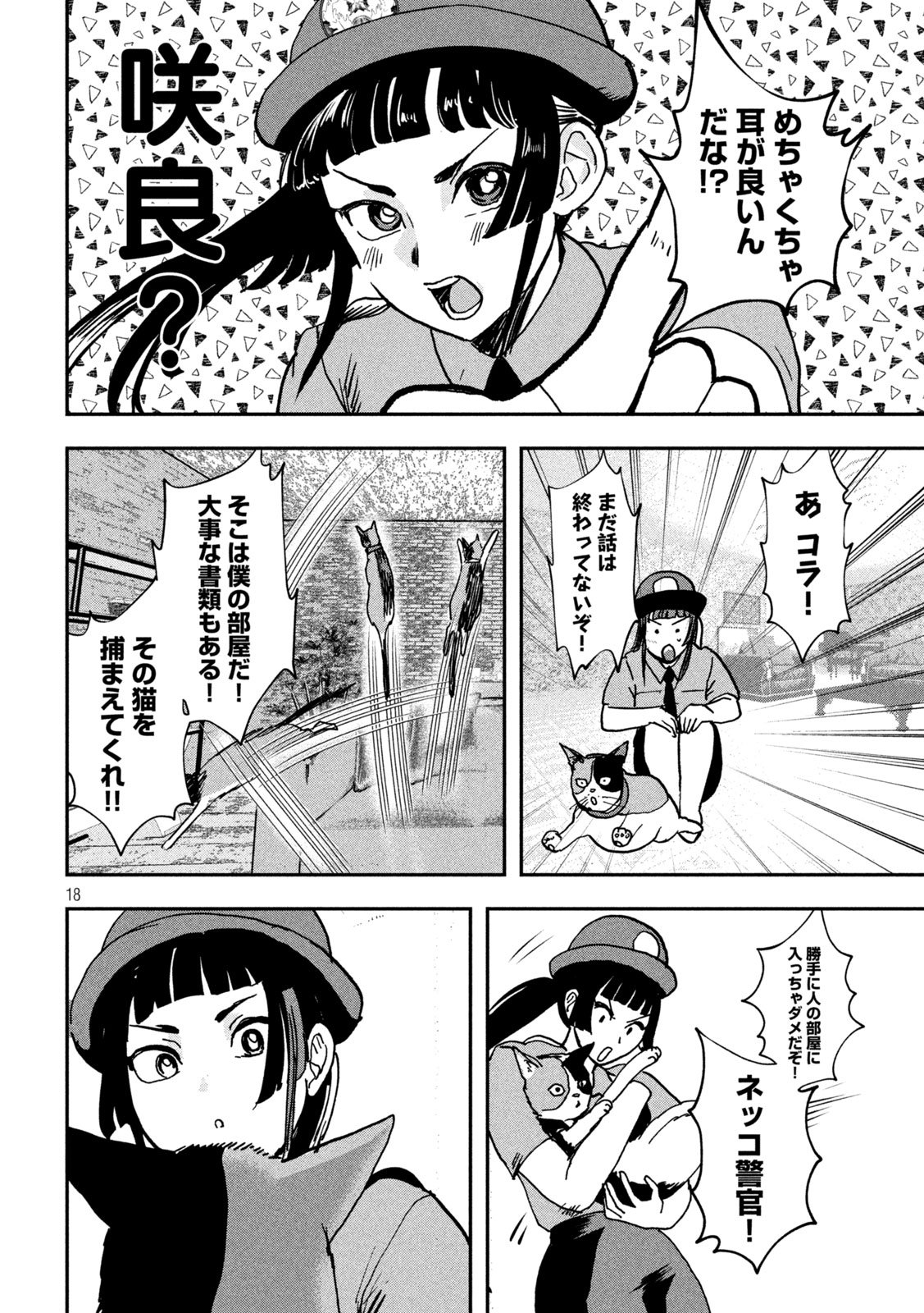 Page 18