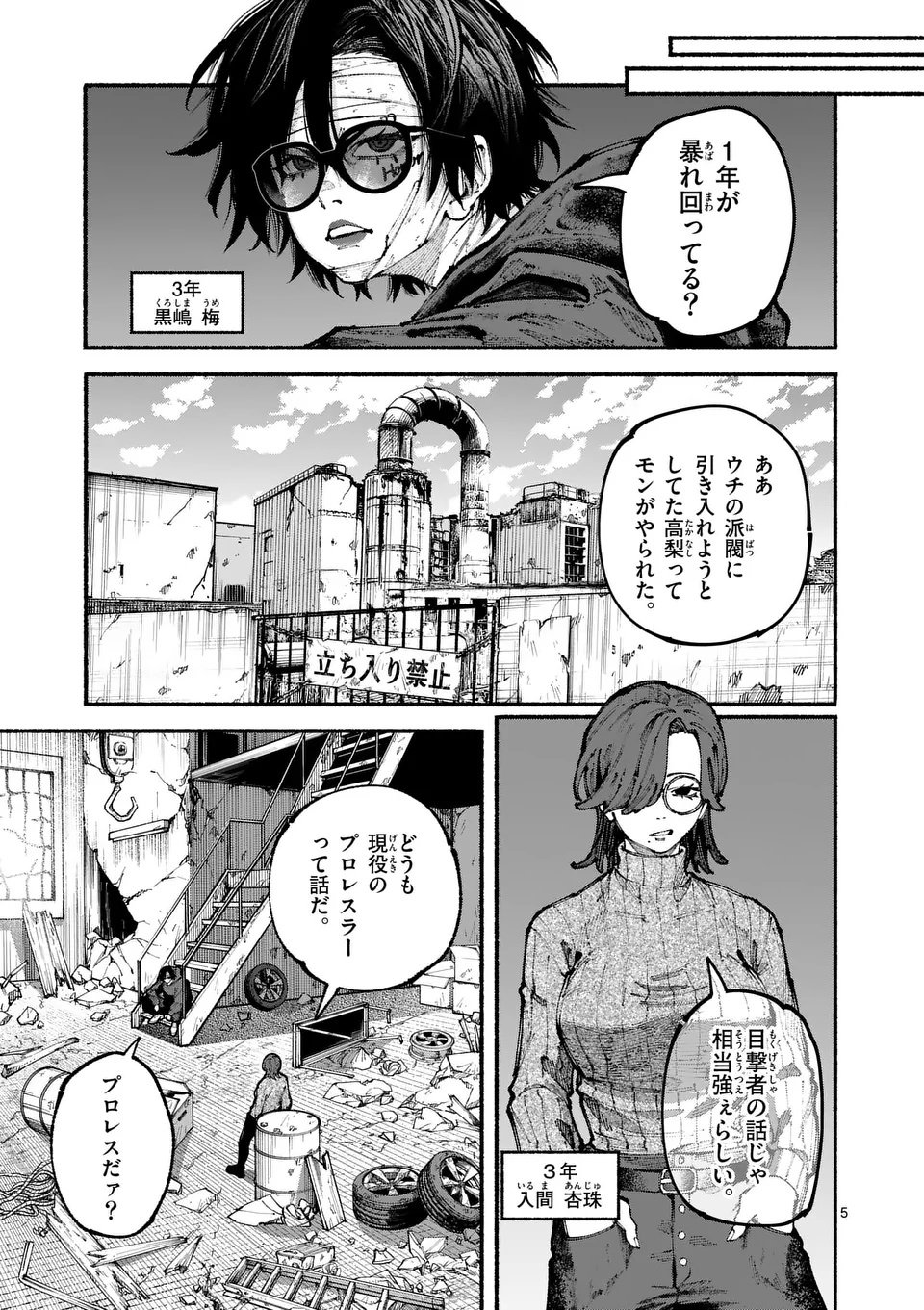 Page 5