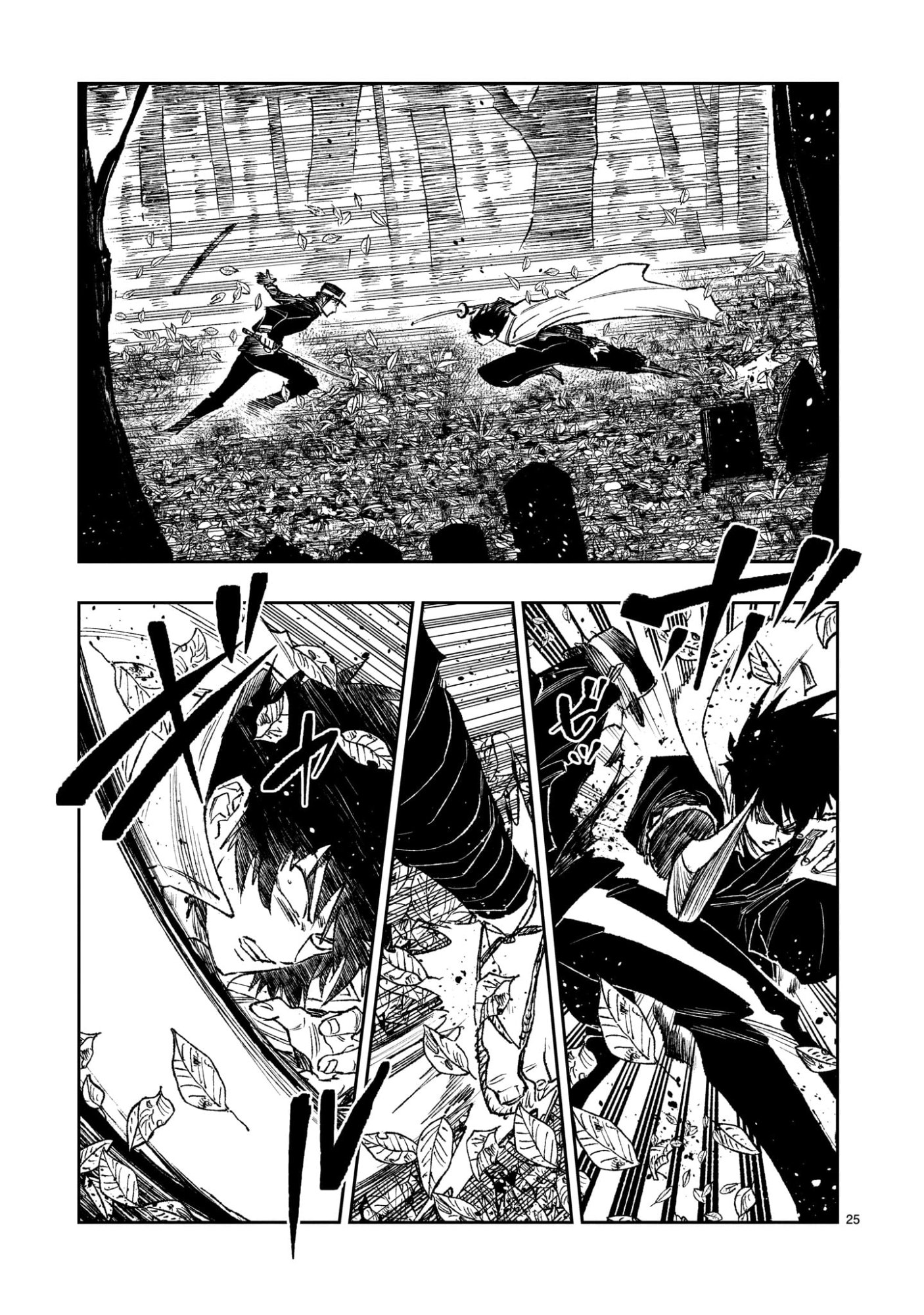 Page 25
