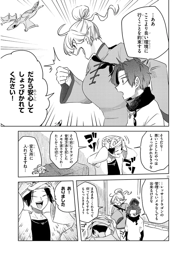Page 13