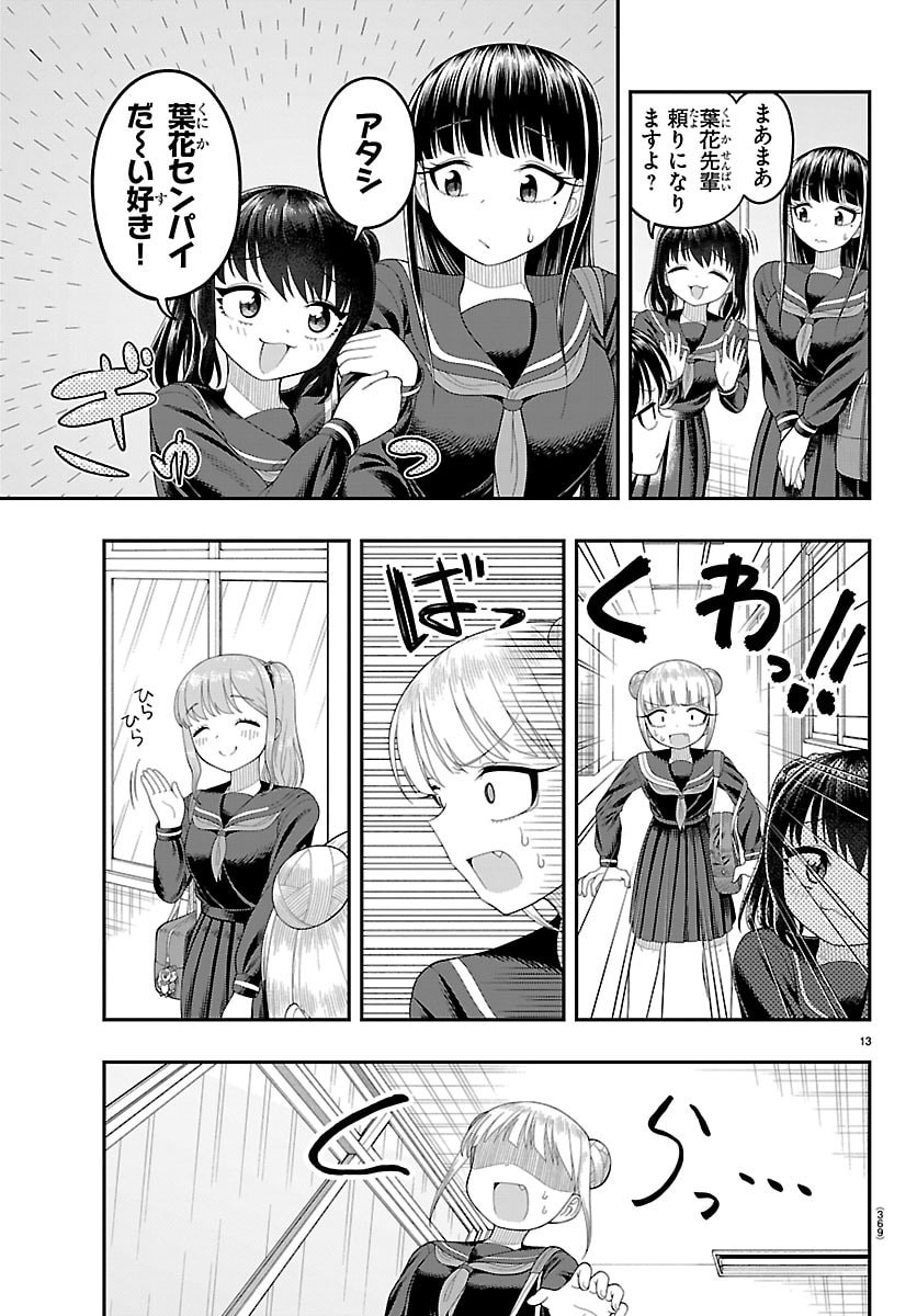 Page 13