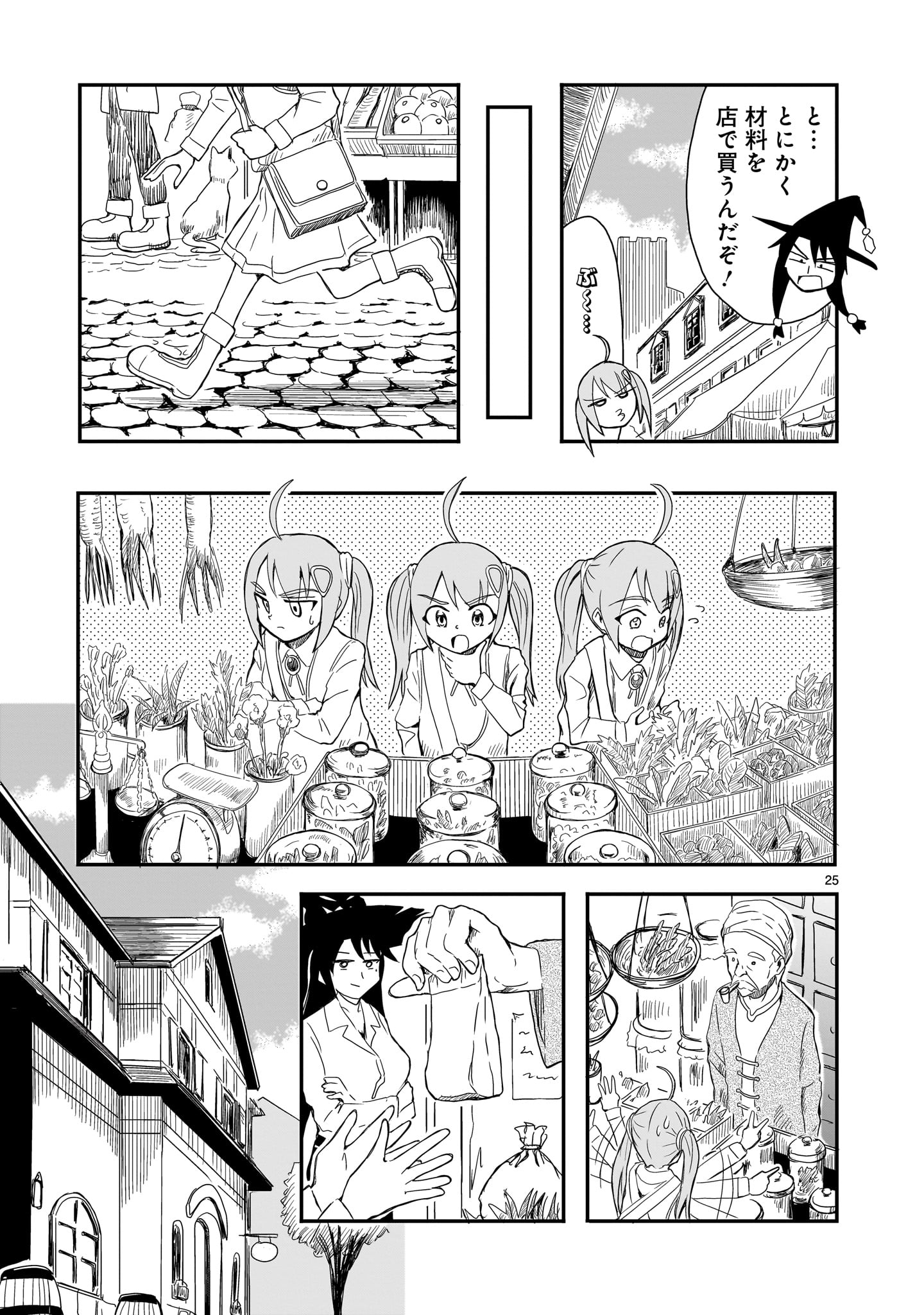 Page 25