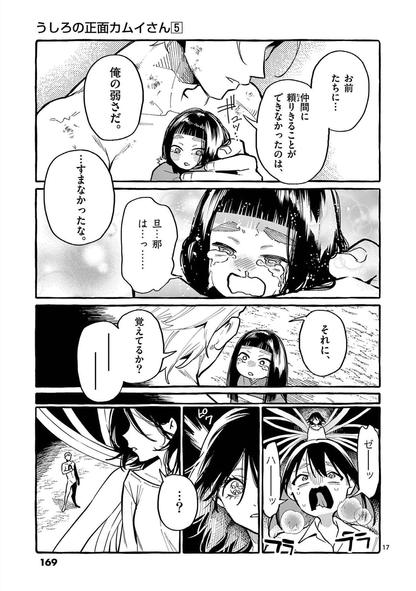 Page 17