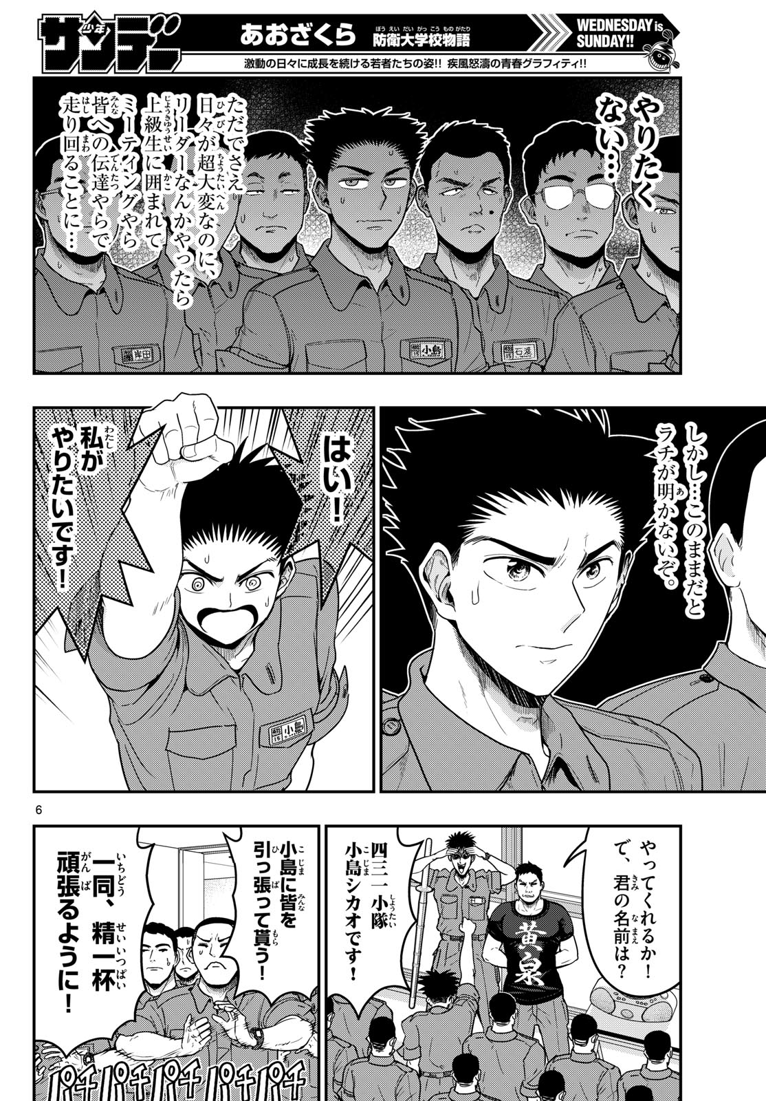 Page 6