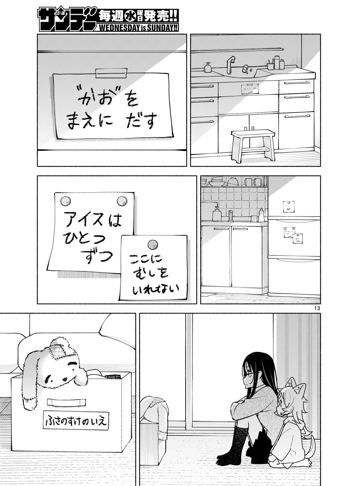 Page 13