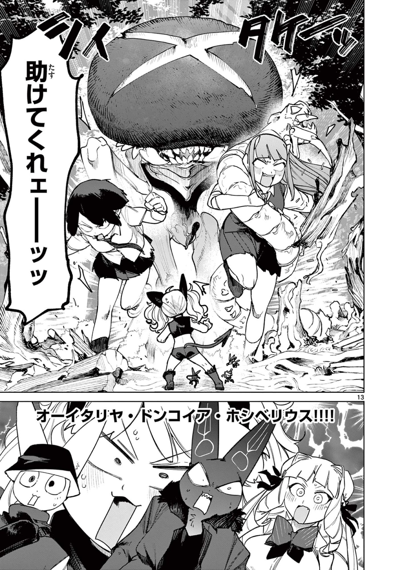 Page 13