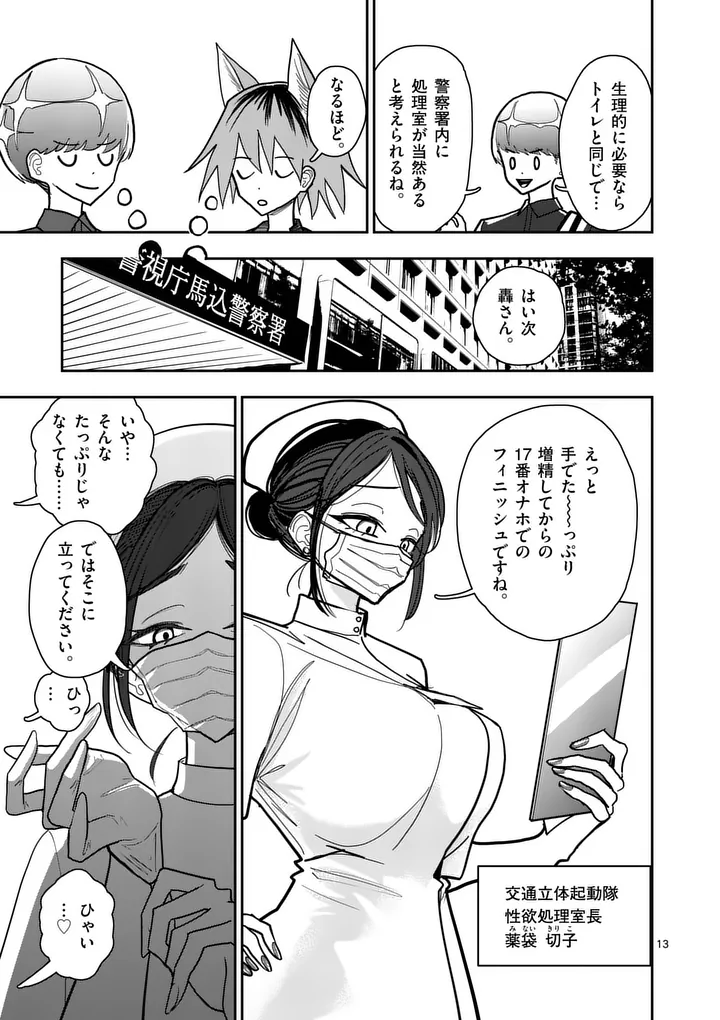 Page 13