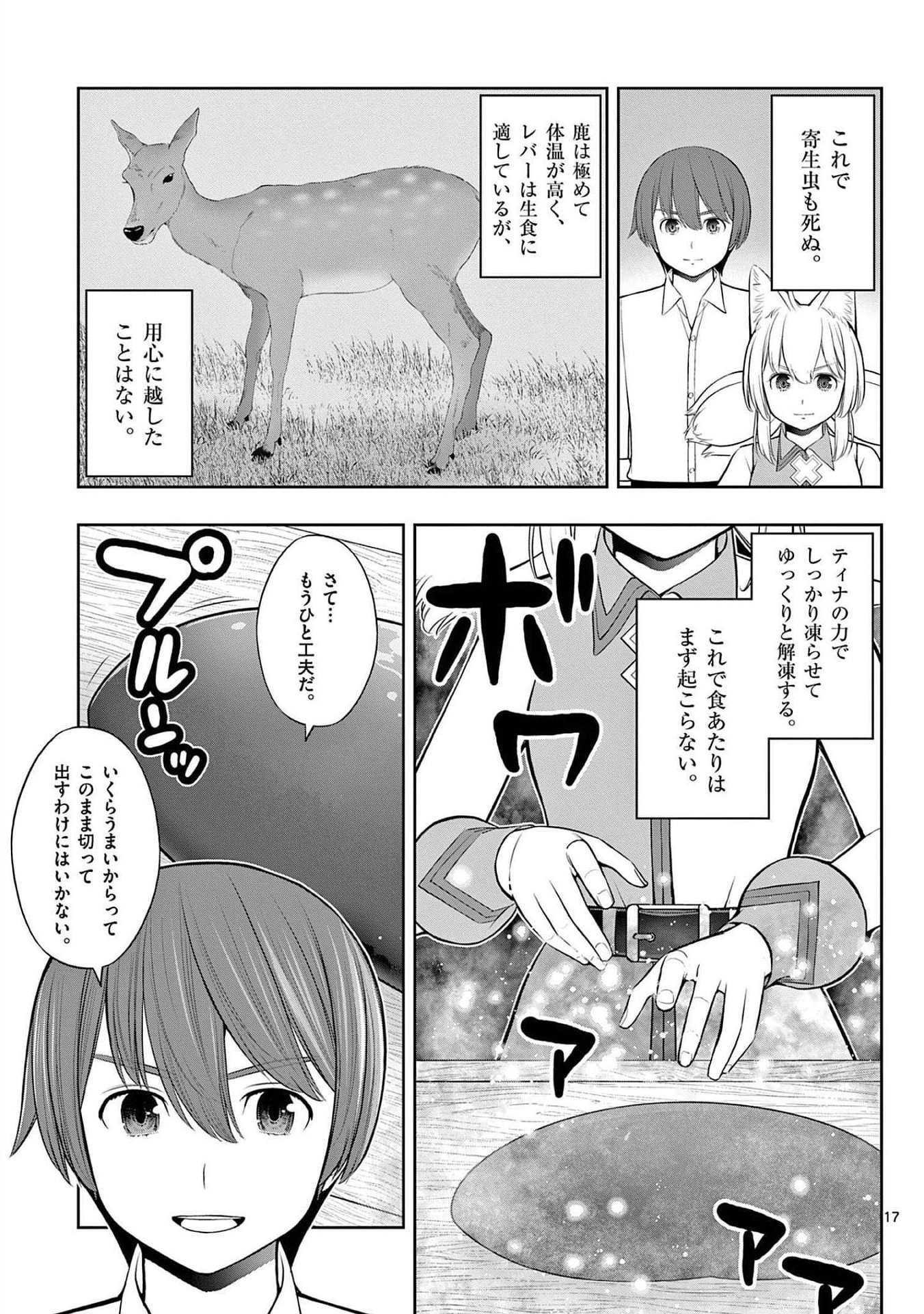 Page 17