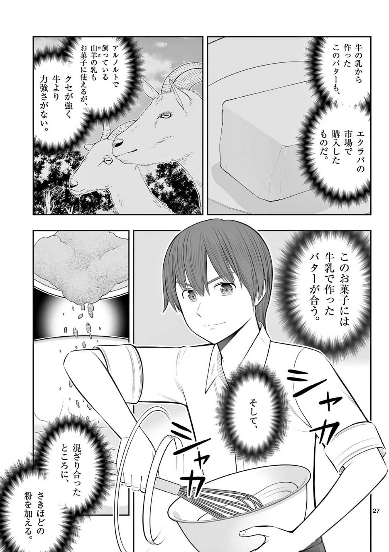 Page 27