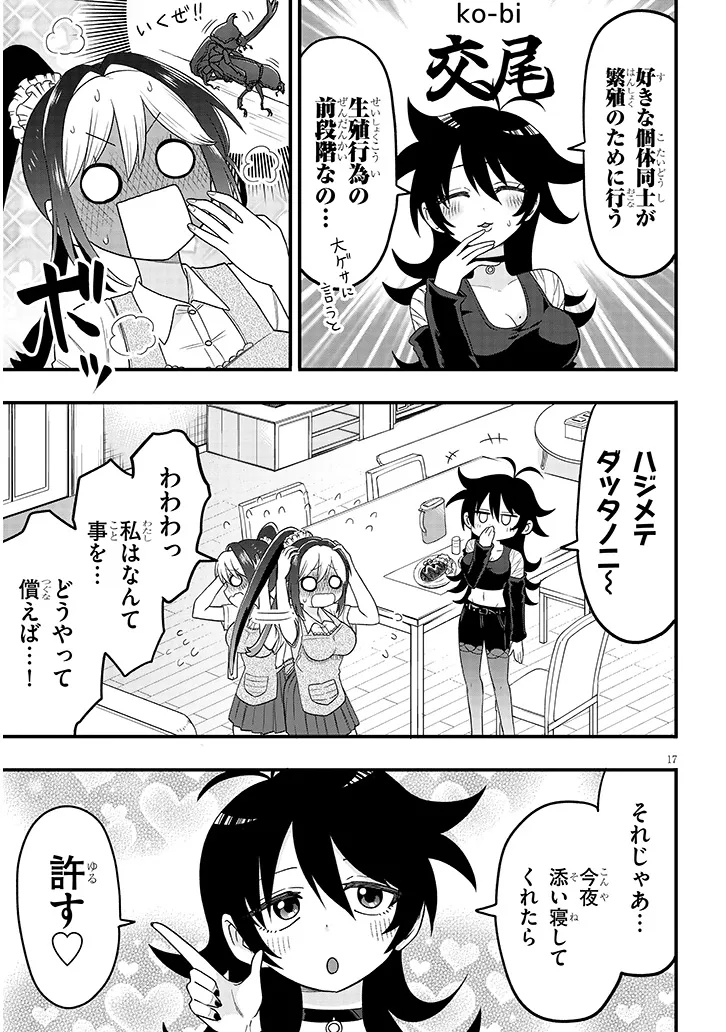 Page 17