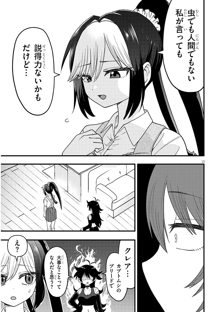 Page 13