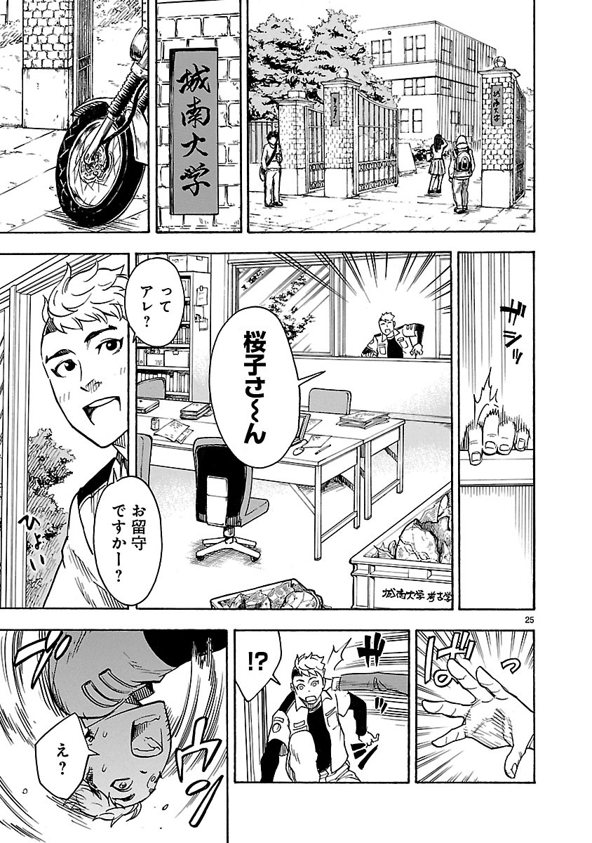 Page 25