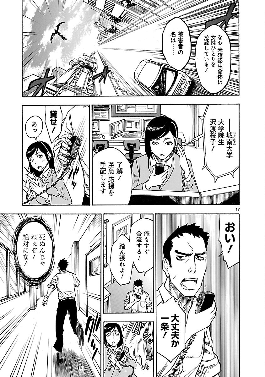 Page 17