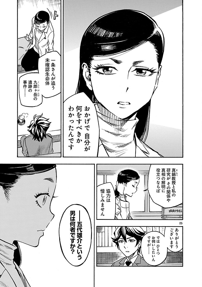 Page 25