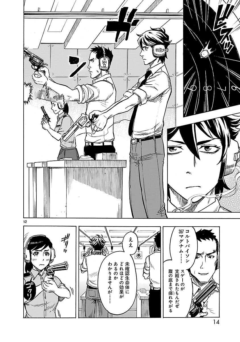 Page 12