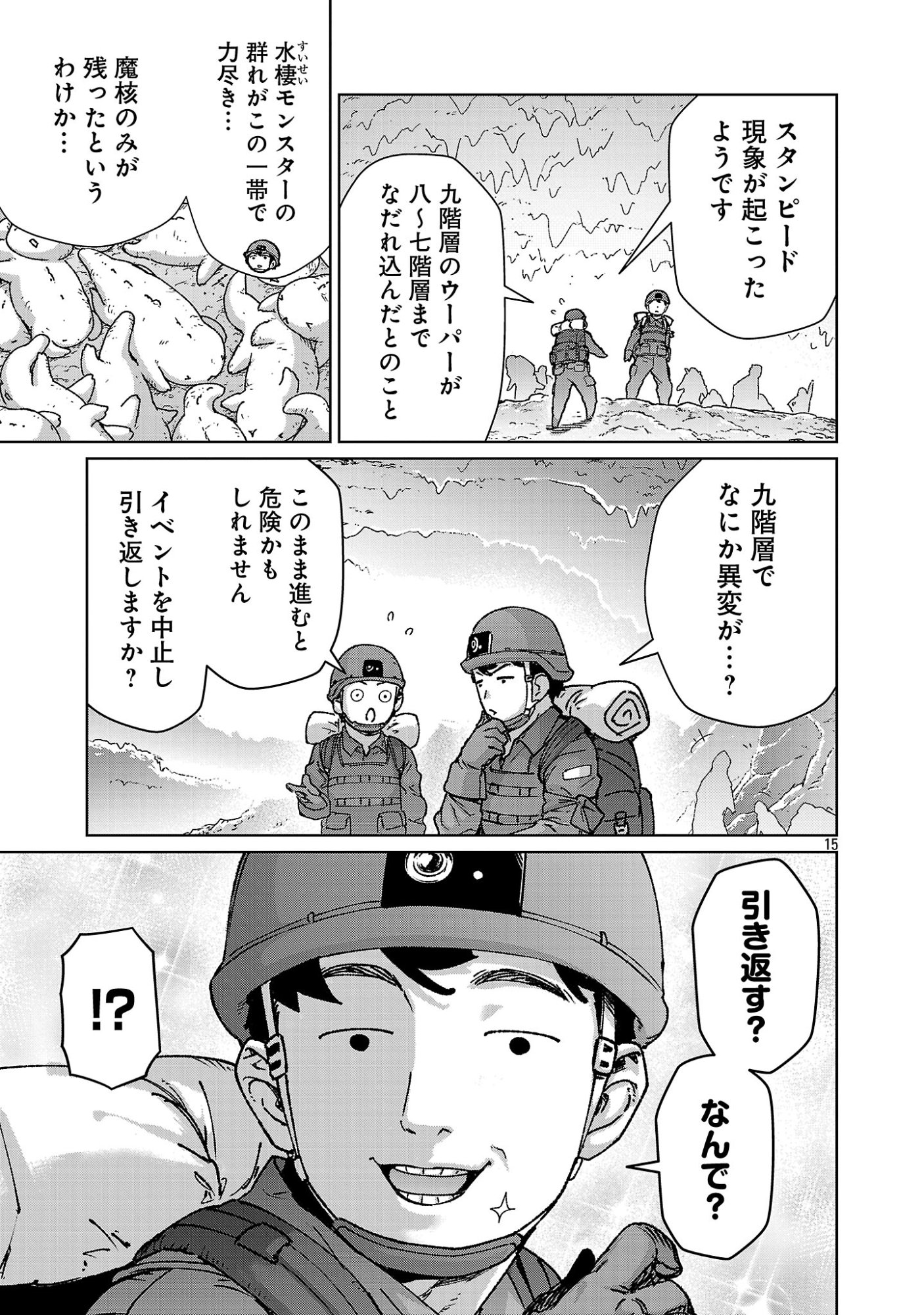 Page 15
