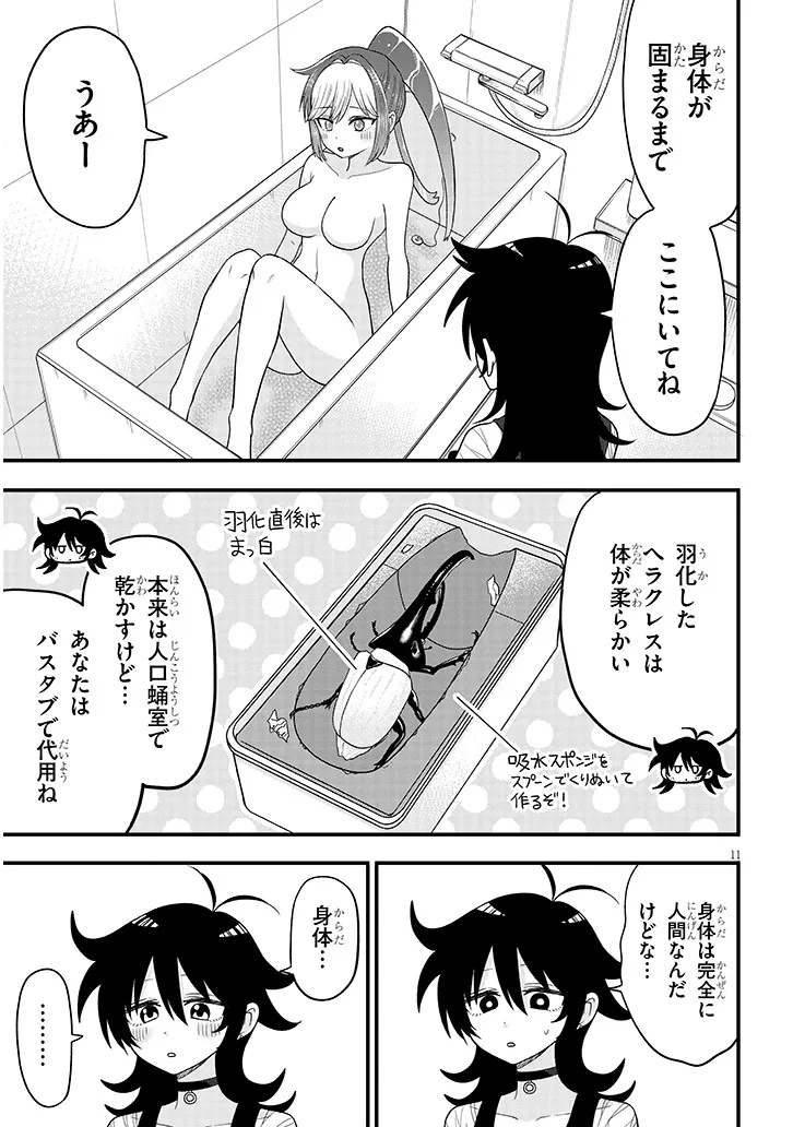 Page 11