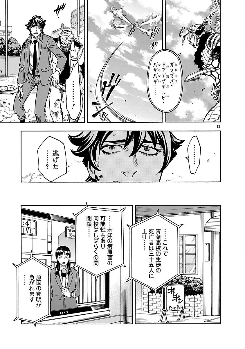 Page 13