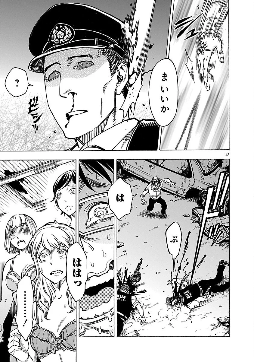 Page 43