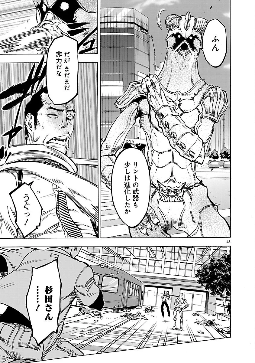 Page 43