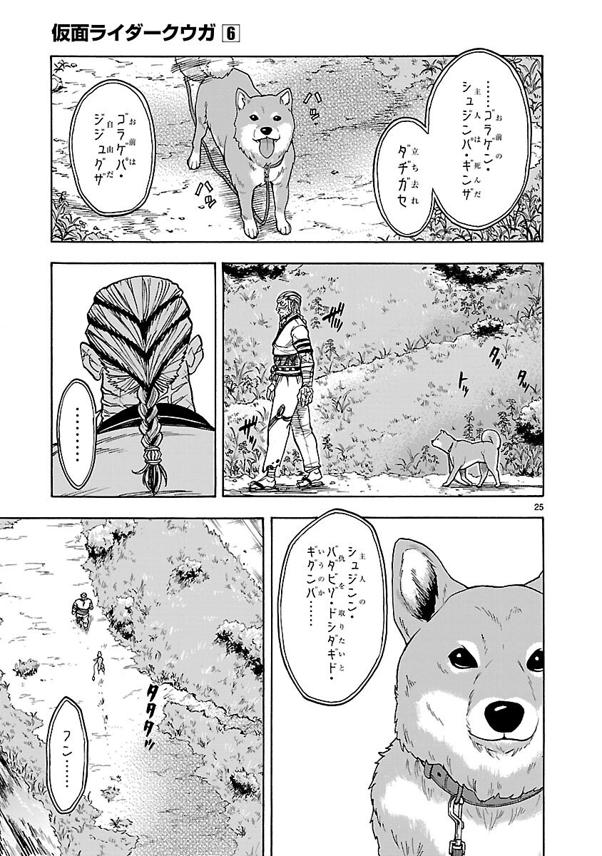 Page 25