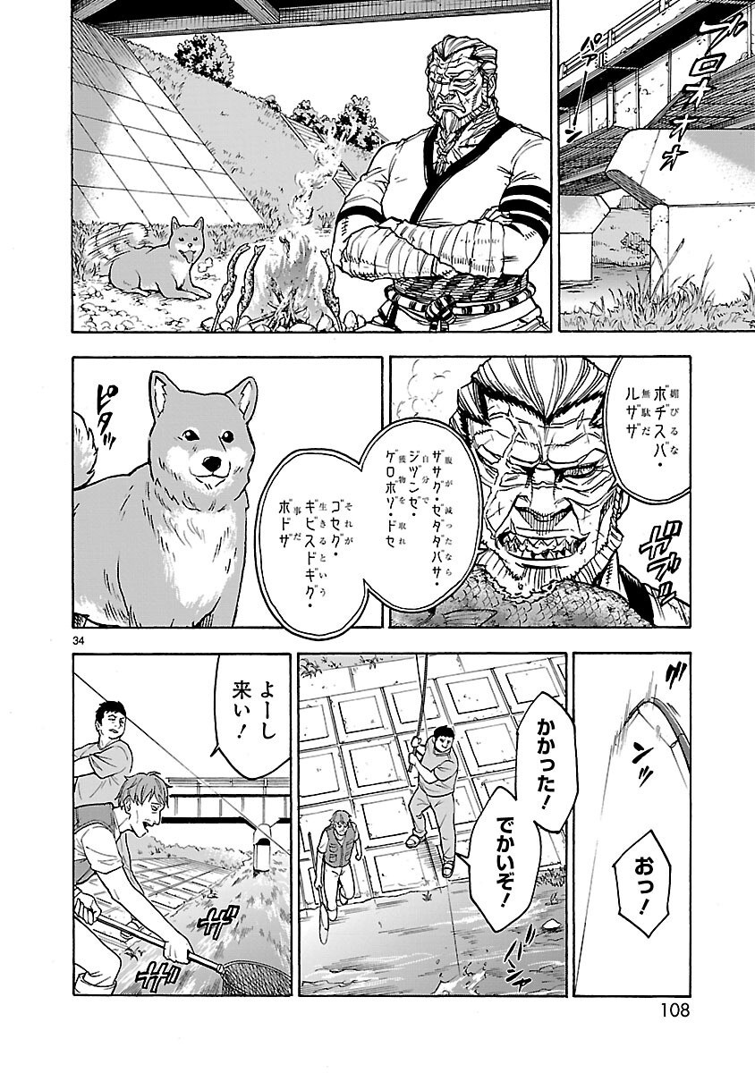 Page 34