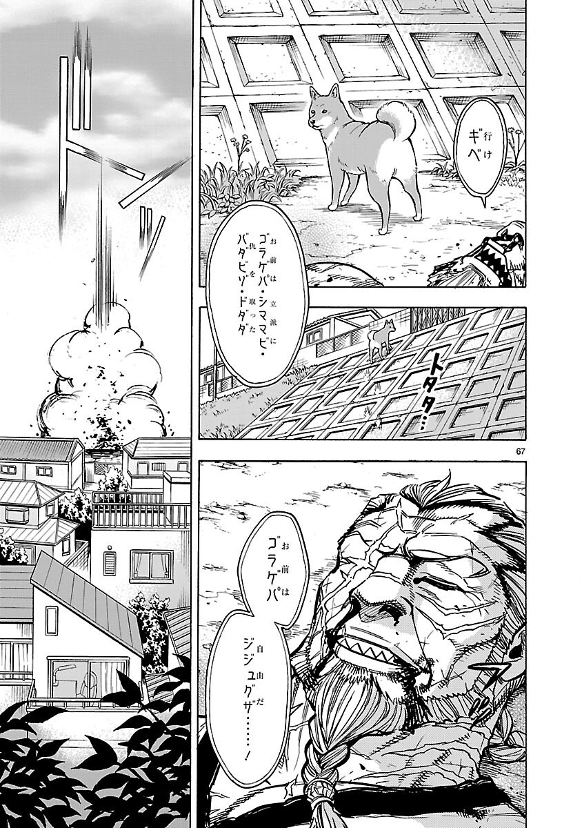 Page 67