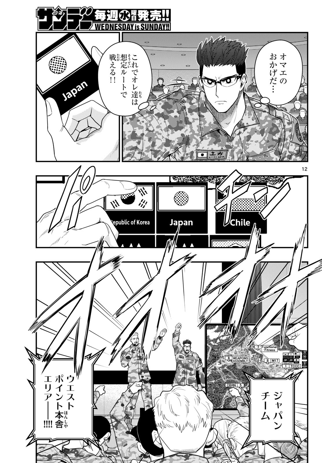 Page 12