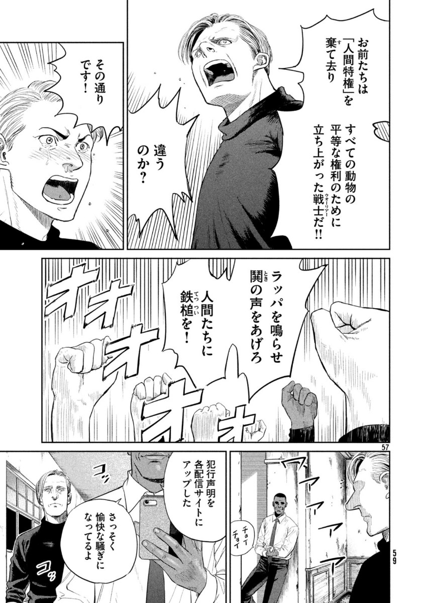 Page 57
