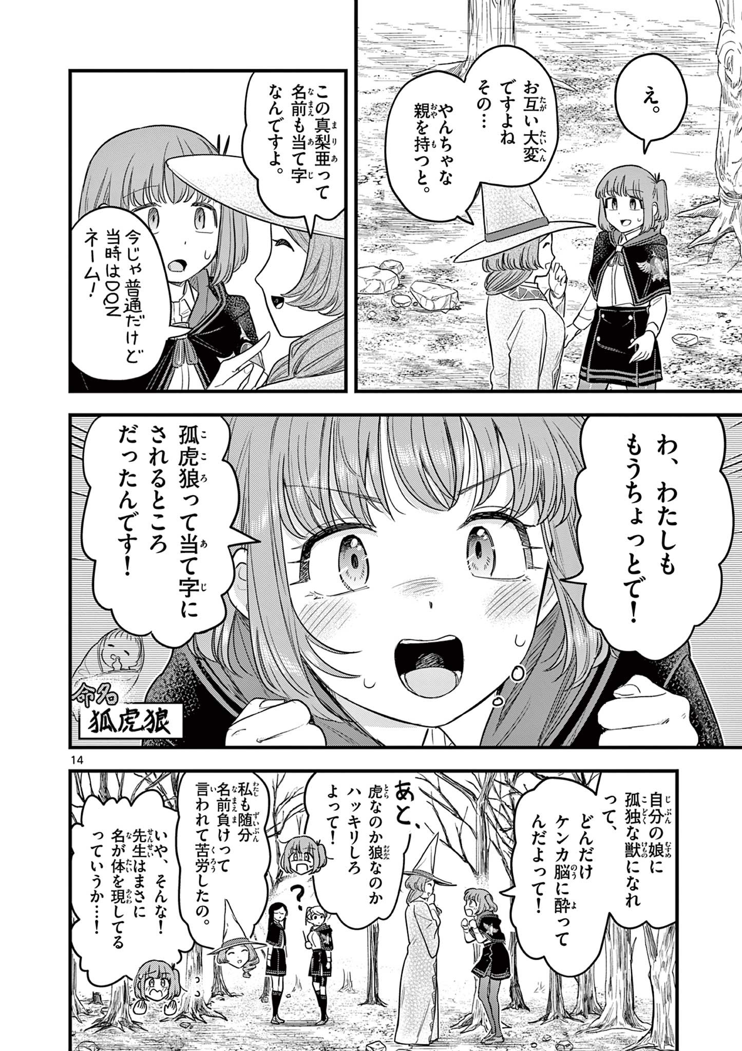Page 14