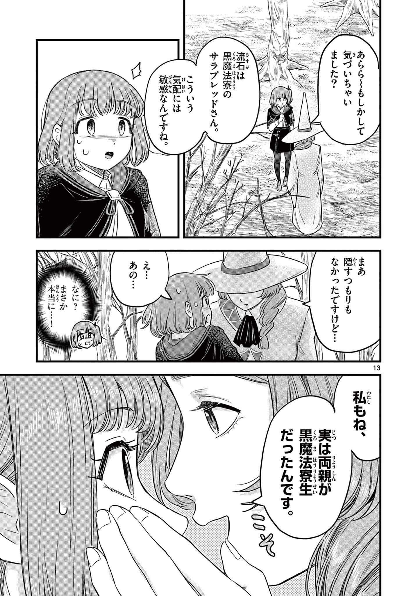 Page 13
