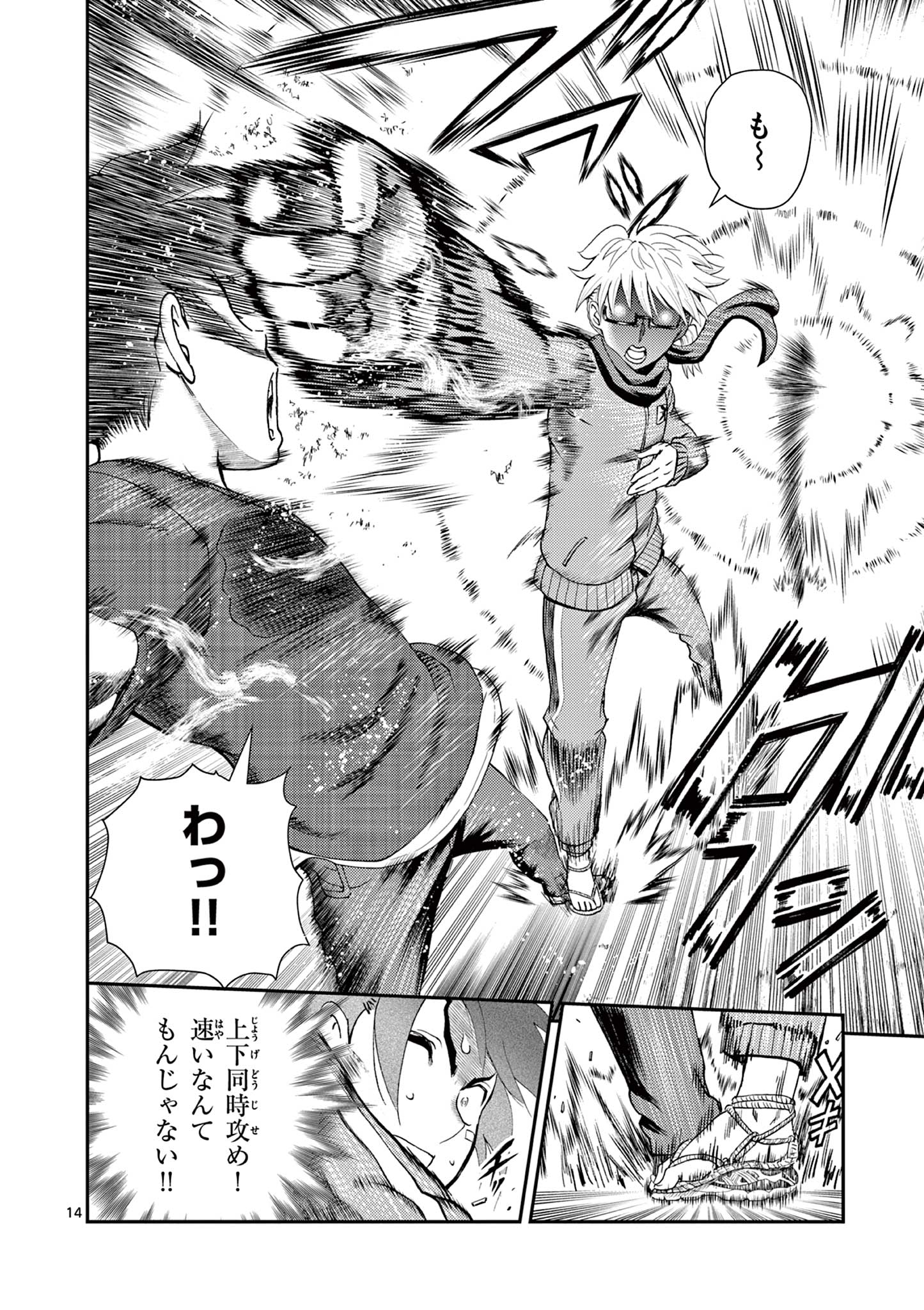 Page 14