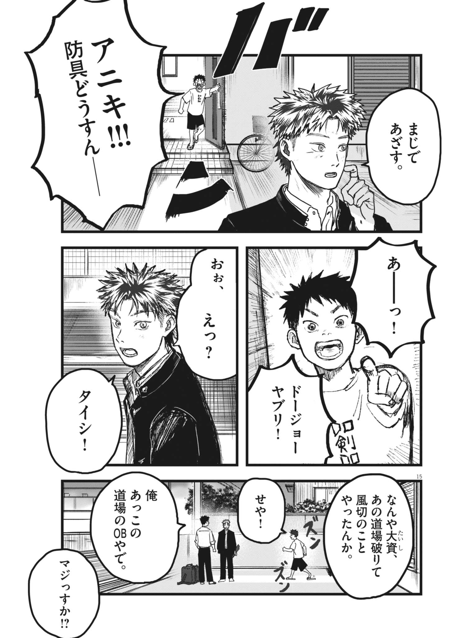 Page 15