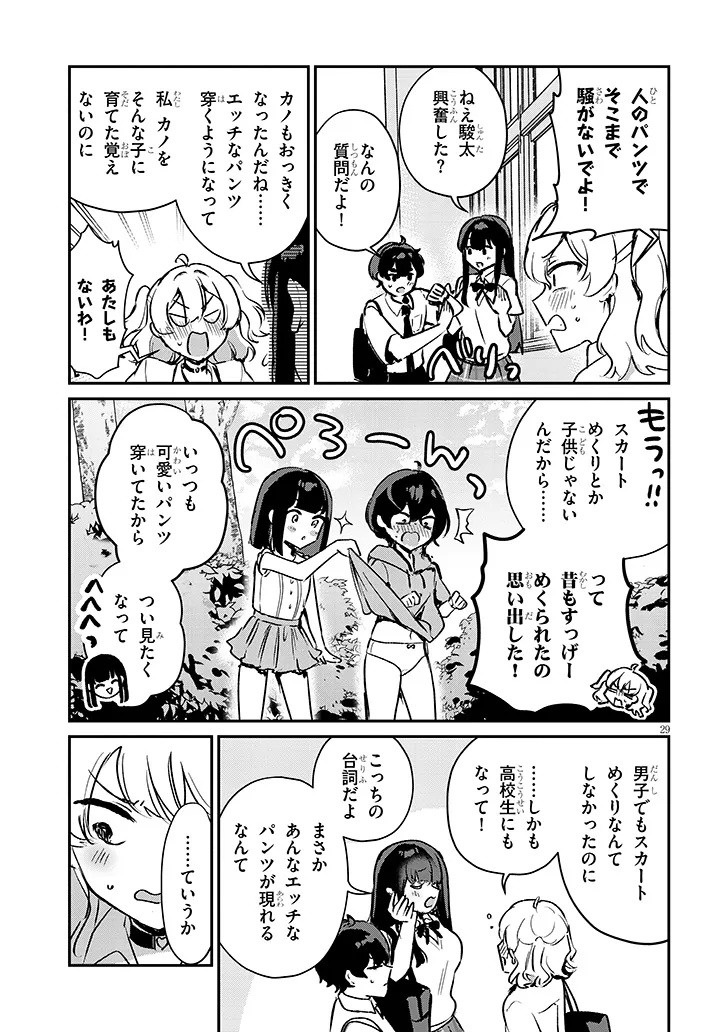 Page 29