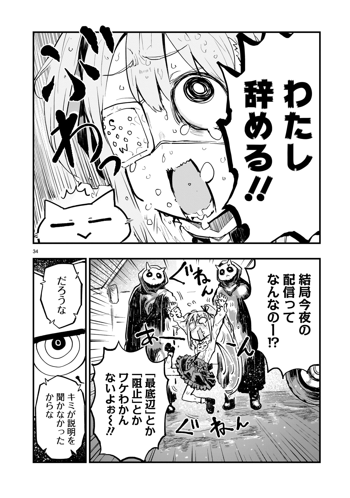 Page 34