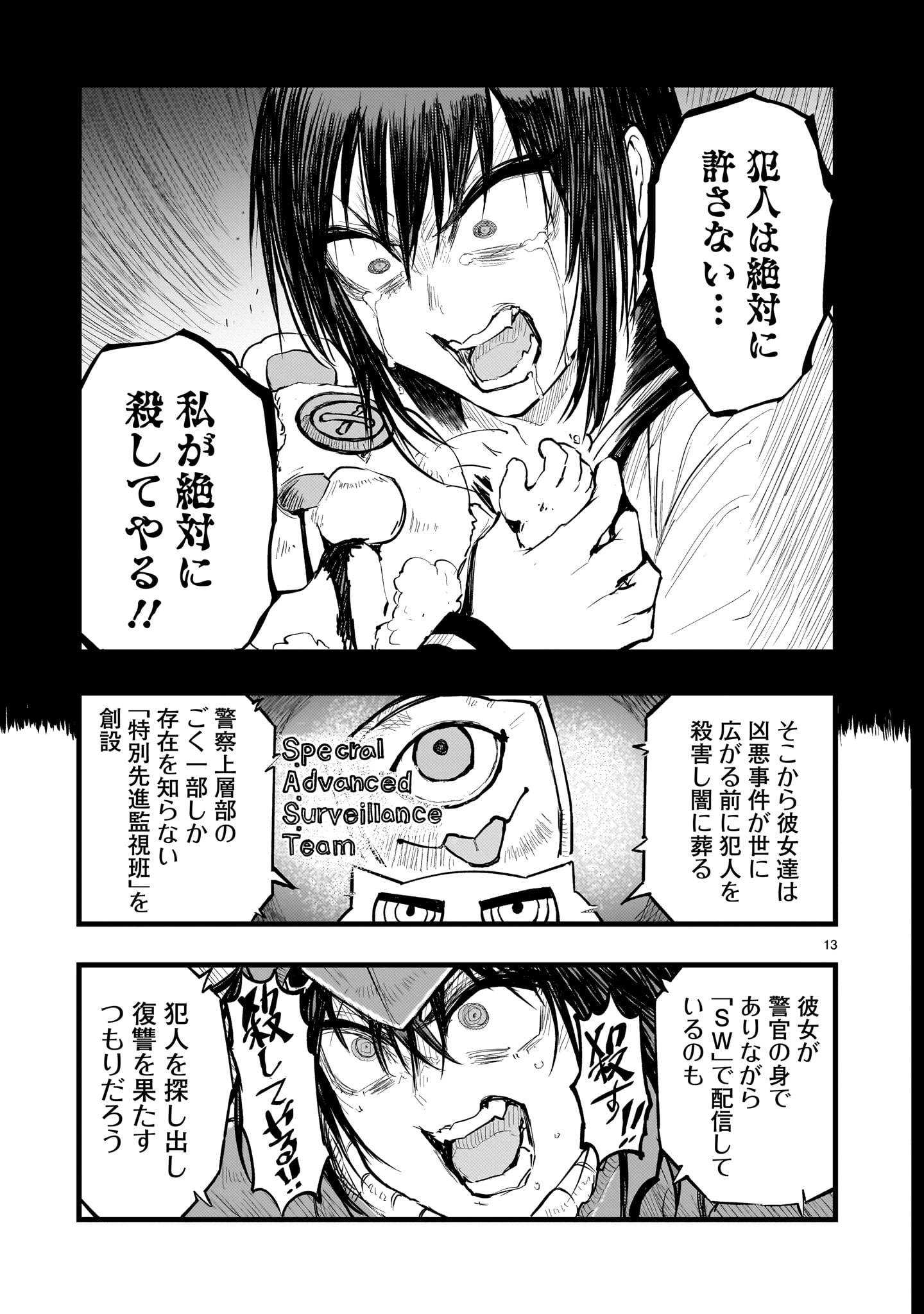 Page 13
